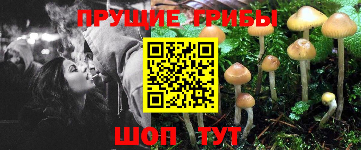 Псилоцибиновые грибы прущие грибы Пятигорск