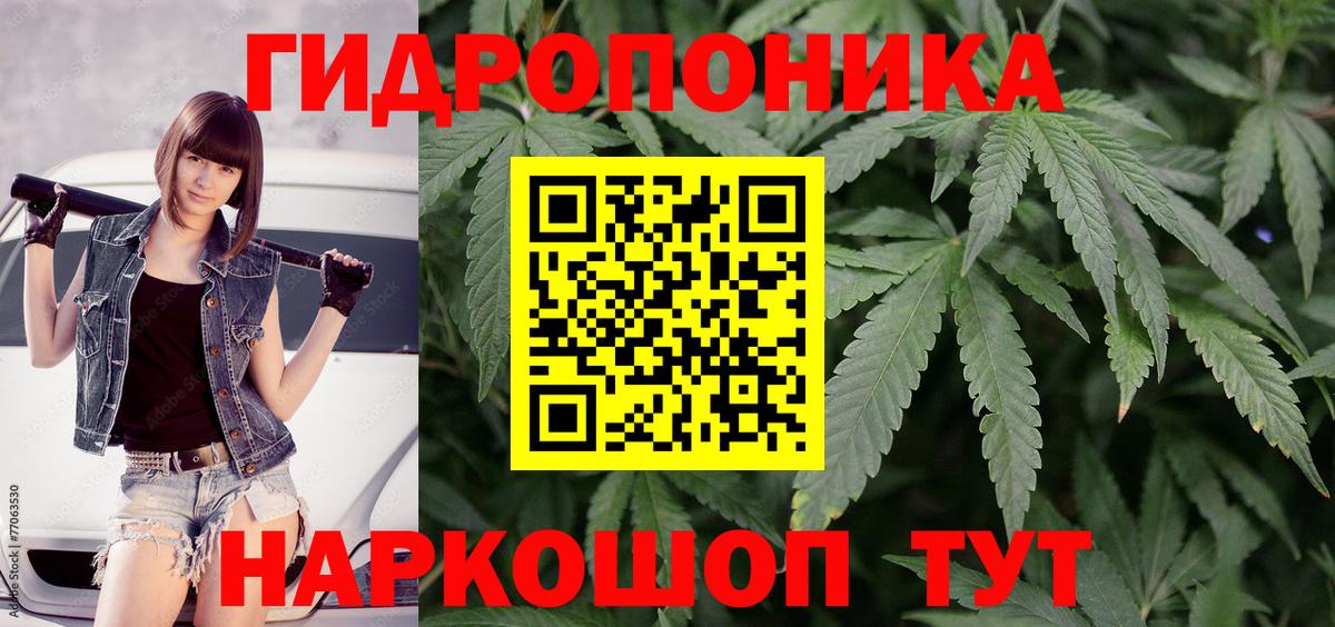 Бошки марихуана Amnesia Пятигорск